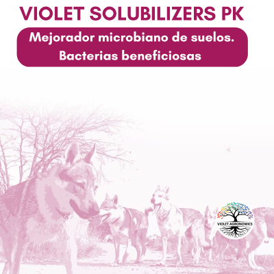 Producto Violet Solubilizers PK de Violet Agronomics. Microorganismos estimuladores de raíces