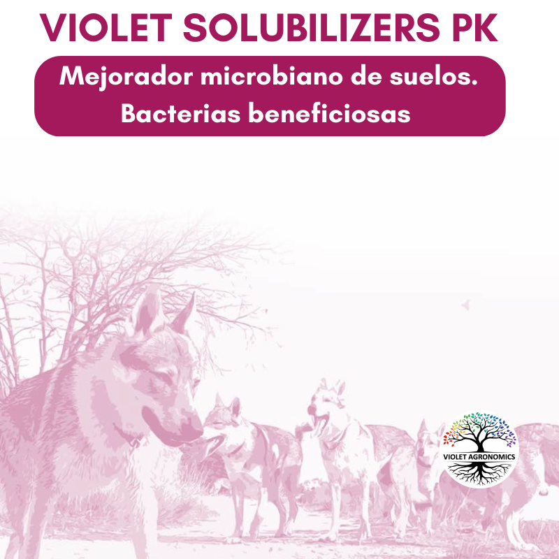 Producto Violet Solubilizers PK de Violet Agronomics. Microorganismos estimuladores de raíces