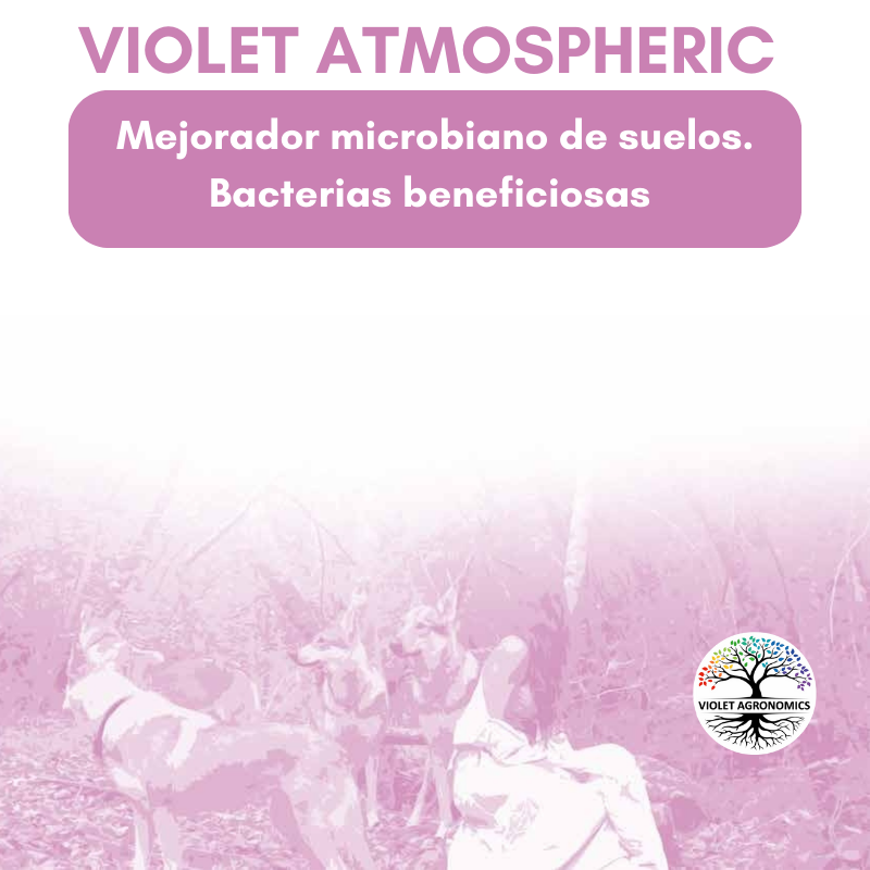 Portada producto Violet Atmospheric de Violet Agronomics. Rizobacterias para revitalizar las raíces